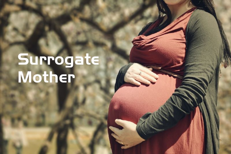 ���ǳ�Ϊ�������������������20����������