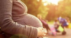 ����������������ļҺ�-2025���ݰ����Թ�������Ҫʲô����